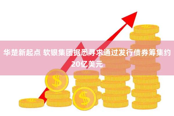 华楚新起点 软银集团据悉寻求通过发行债券筹集约20亿美元