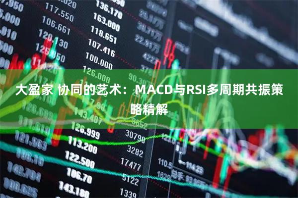大盈家 协同的艺术:MACD与RSI多周期共振策略精解