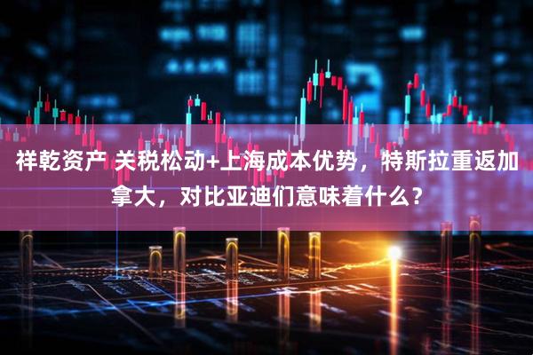 祥乾资产 关税松动+上海成本优势，特斯拉重返加拿大，对比亚迪们意味着什么？