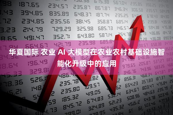 华夏国际 农业 AI 大模型在农业农村基础设施智能化升级中的应用