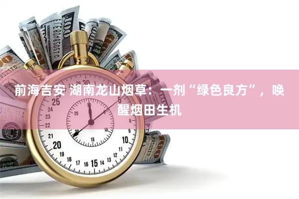 前海吉安 湖南龙山烟草：一剂“绿色良方”，唤醒烟田生机