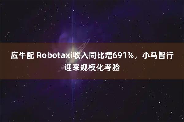 应牛配 Robotaxi收入同比增691%，小马智行迎来规模化考验